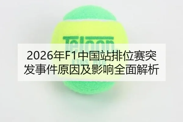 nian-zhong-guo-zhan-pai-wei-sai-tu-fa-shi-jian-yuan-yin-ji-ying-xiang-quan-mian-jie-xi-2-450.jpg